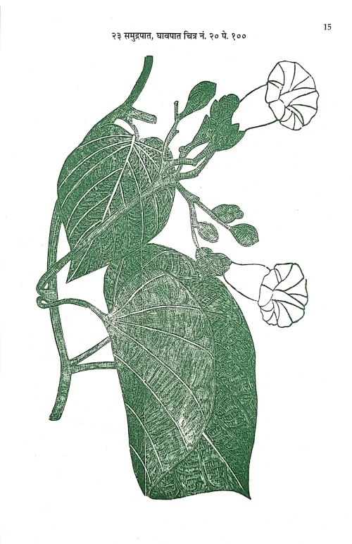 Abhinava Buti Darpana 2vols.